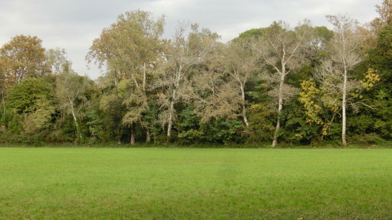 Gite Du Gardien Saint-Martin-de-Crau Exterior foto